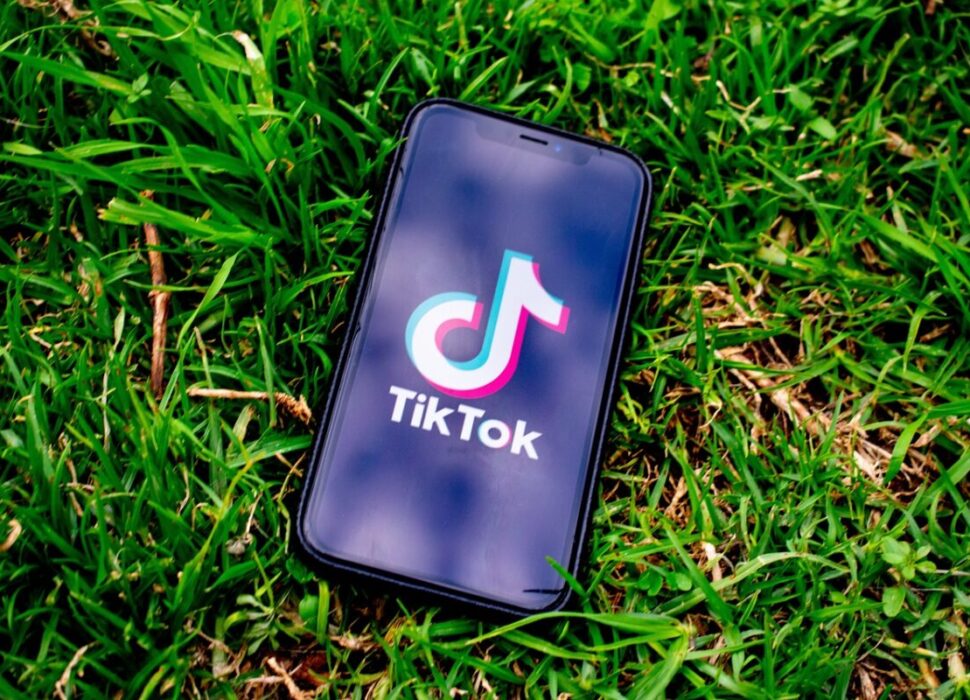 Comment_développer_sa_chaîne_tiktok_de_beauté_:_une_exploration_des_techniques_marketing_avant_gardistes